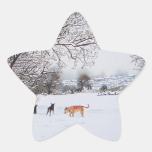 scenic veiw of dogs in snow landscape with trees star sticker