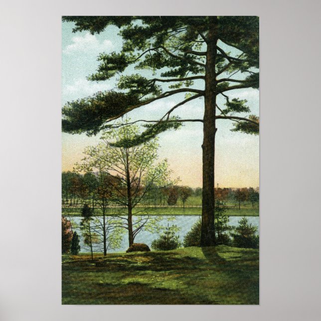 Scenic View at Chestnut Hill Reservoir Poster (Front)