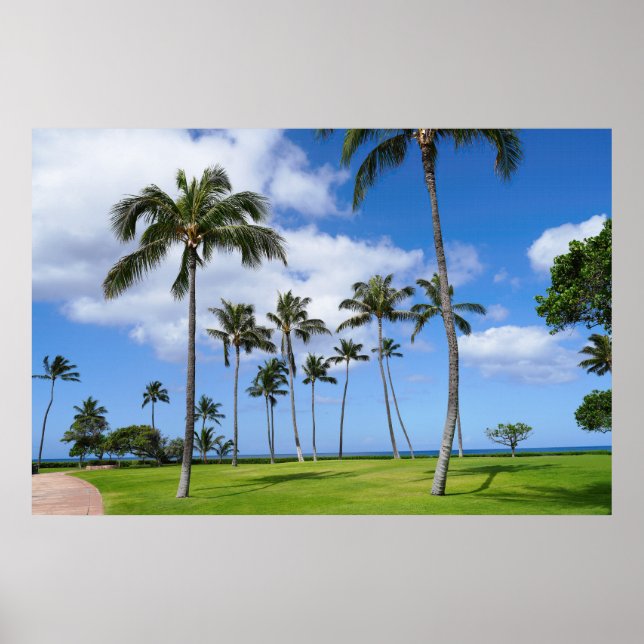 Scenic view of coconut trees poster (Front)