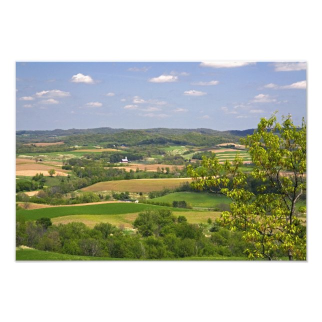 Scenic view of farmland south of Arcadia, 2 Photo Print (Front)