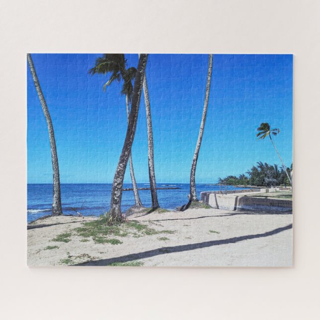 Scenic View of Hawaiian Coast Jigsaw Puzzle (Horizontal)