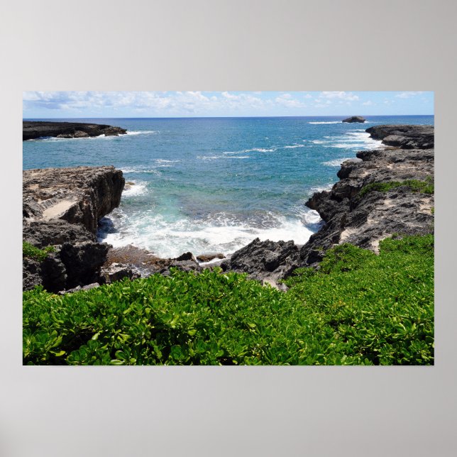 Scenic View of Hawaiian Coast Poster (Front)