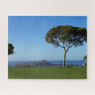 Scenic View of Honolulu Hawaii Jigsaw Puzzle
