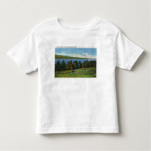 Scenic View of Lake Cobbosseecontee Toddler T-Shirt