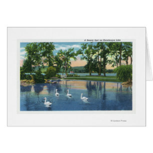 Scenic View of Swans on the Lake