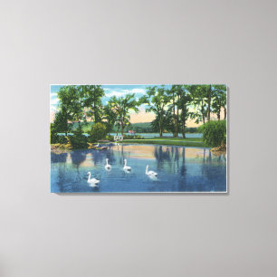 Scenic View of Swans on the Lake Canvas Print