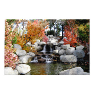Scenic Waterfall Colourful Trees and Rocks Poster