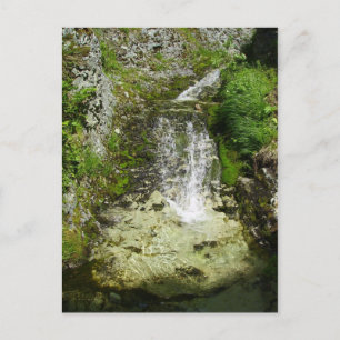 Scenic Waterfalls Behind General's Hill Postcard