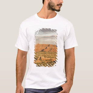 Scenic winter desert landscape on the way into T-Shirt