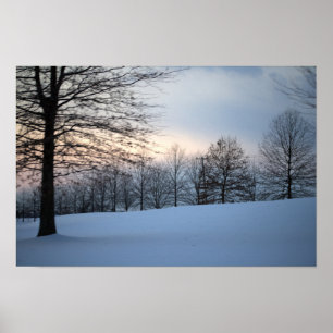 Scenic Winter Trees Poster
