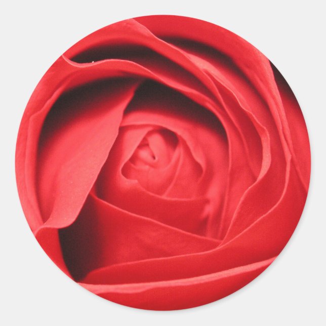 Scent of a Rose Classic Round Sticker (Front)