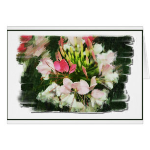 Scents of Colour