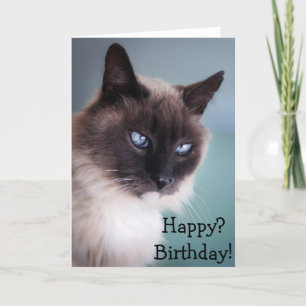 Sceptical or grumpy cat: Happy? Birthday! Card
