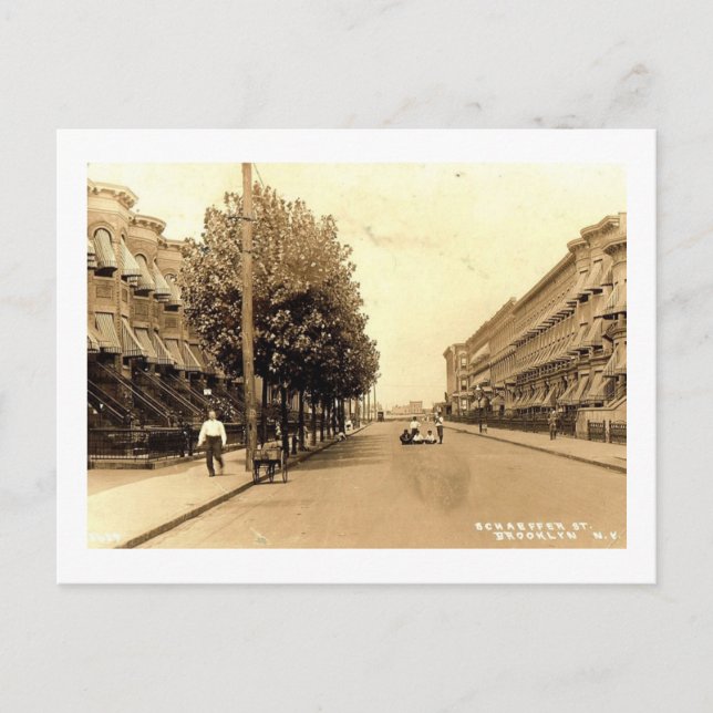 Schaeffer St., Brooklyn, New York Vintage Postcard (Front)