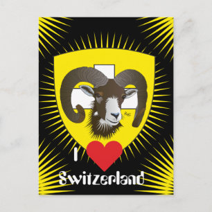 Schaffhausen Schweiz Postkarte Postcard