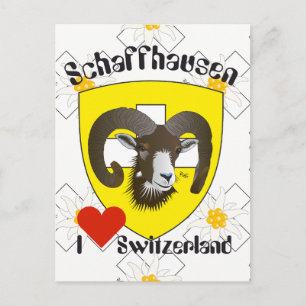 Schaffhausen Schweiz Postkarte Postcard