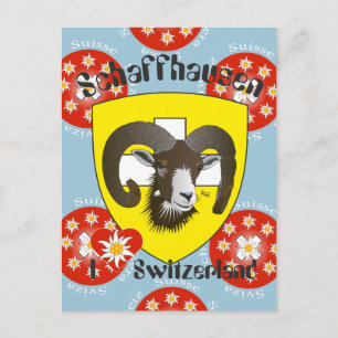 Schaffhausen Schweiz Postkarte Postcard