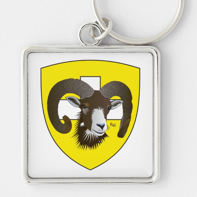 Schaffhausen Schweiz Schlüsselanhänger Key Ring (Front)