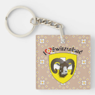 Schaffhausen - Schweiz - Suisse - Svizzera Key Ring
