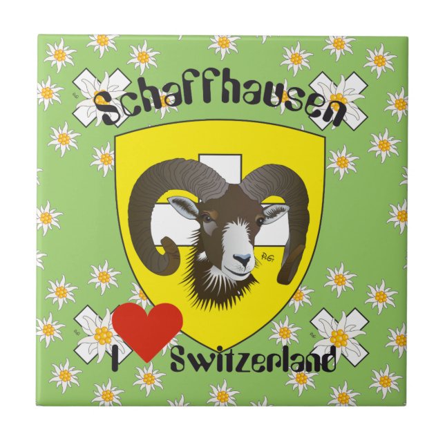 Schaffhausen - Switzerland - Suisse - Svizzera Fli Tile (Front)