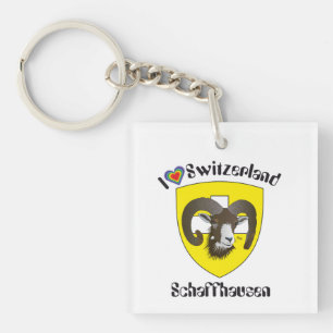 Schaffhausen - Switzerland - Suisse - Svizzera Key Ring