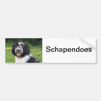 schapendoes bumper sticker