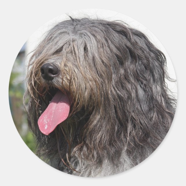 schapendoes classic round sticker (Front)