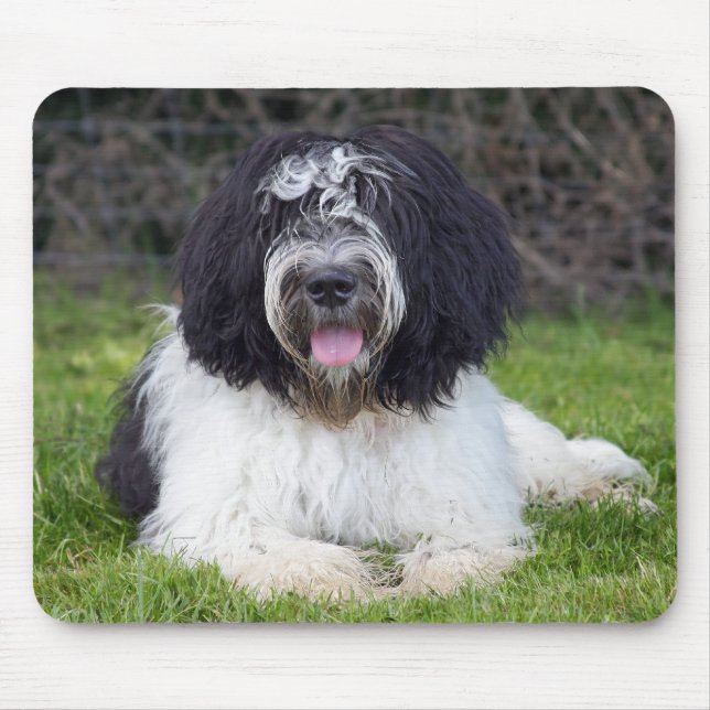 schapendoes mouse pad (Front)