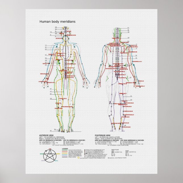 Schematic of the Chinese or Human Body Meridians Poster (Front)