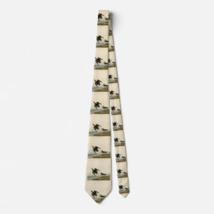 Schinz's Sandpiper from Audubon's Birds of America Tie