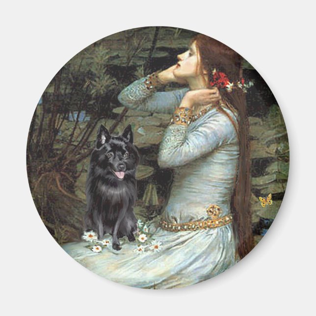 Schipperke 4 - Ophelia Seated Magnet (Front)