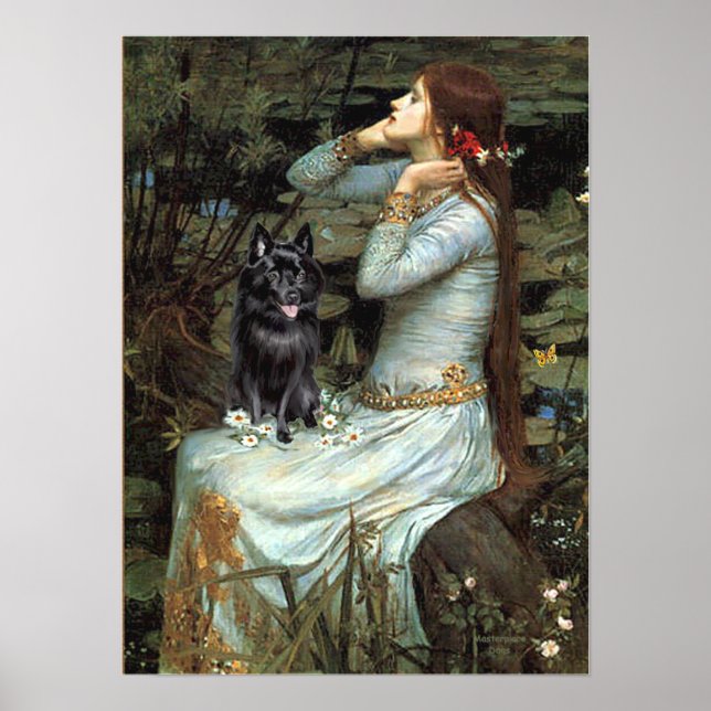 Schipperke 4 - Ophelia Seated Poster (Front)