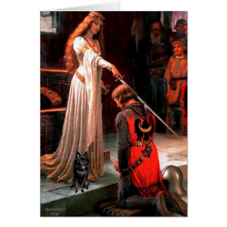 Schipperke 4 - The Accolade