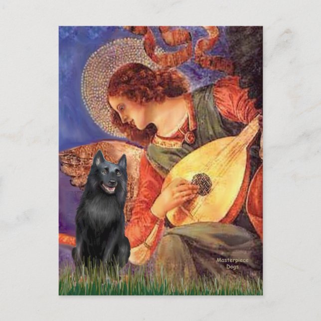 Schipperke 5 - Mandolin Angel Postcard (Front)