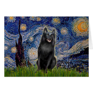 Schipperke 5 - Starry Night