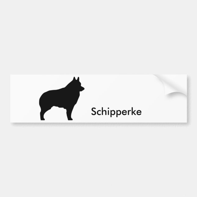 Schipperke Bumper Sticker 1 (Front)