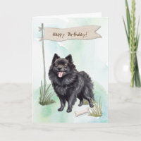 Schipperke Dog Breed Outdoors Under Birthday Sign
