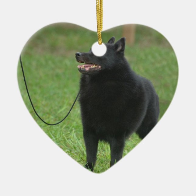 Schipperke Dog Ceramic Tree Decoration (Front)