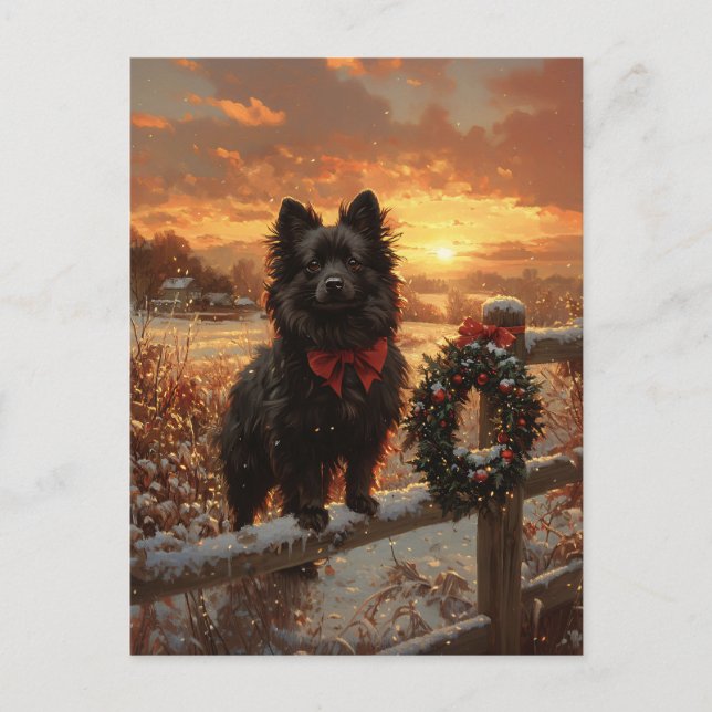 Schipperke Dog Rustic Winter Sunset Postcard (Front)