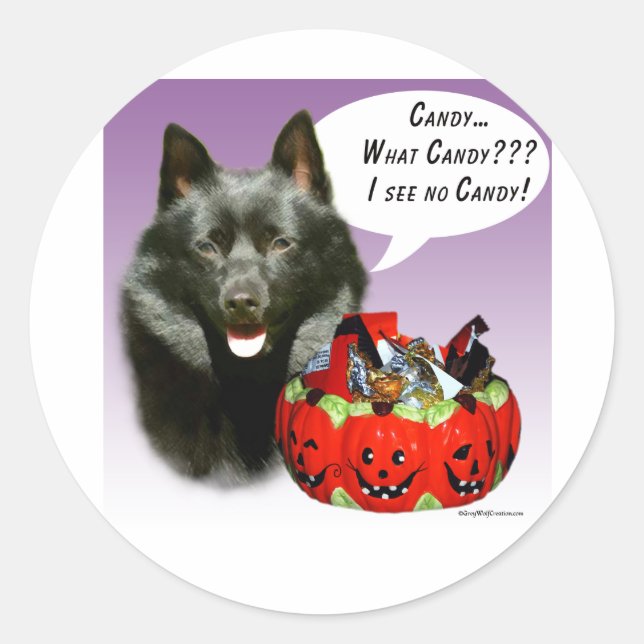 Schipperke Halloween Candy Classic Round Sticker (Front)