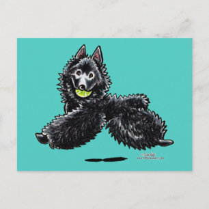 Schipperke Lets Play Postcard