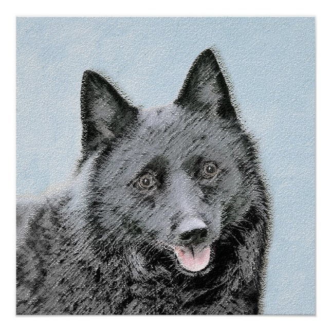 Schipperke Painting - Cute Original Dog Art Poster (Front)