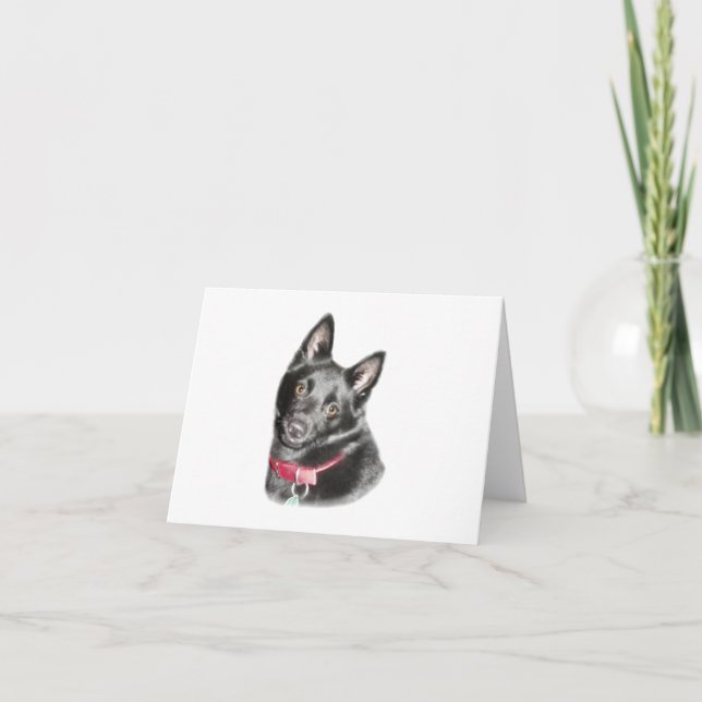 Schipperke Picture Blank Card (Front)