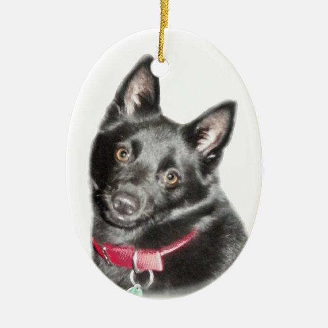 Schipperke Picture Ceramic Tree Decoration (Front)