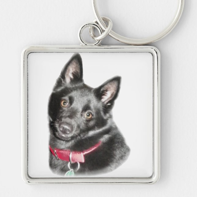 Schipperke Picture Key Ring (Front)