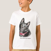 Schipperke Picture