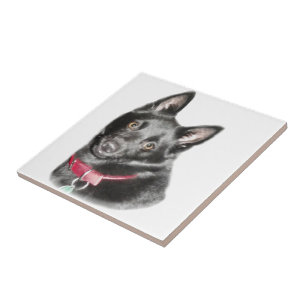 Schipperke Picture Tile