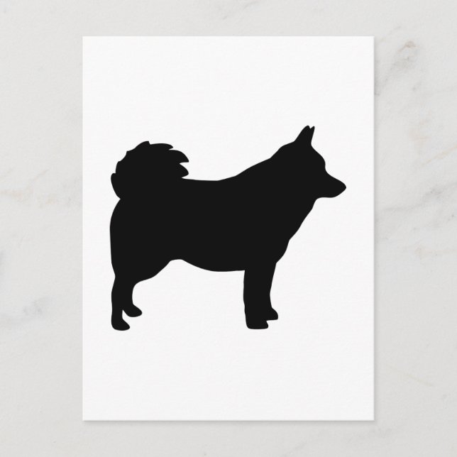 Schipperke Postcard (Front)