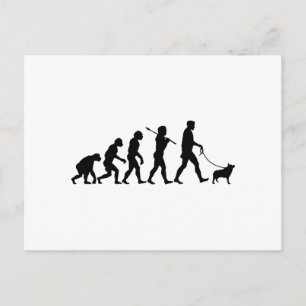 Schipperke Postcard
