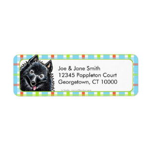 Schipperke Pretty Plaid